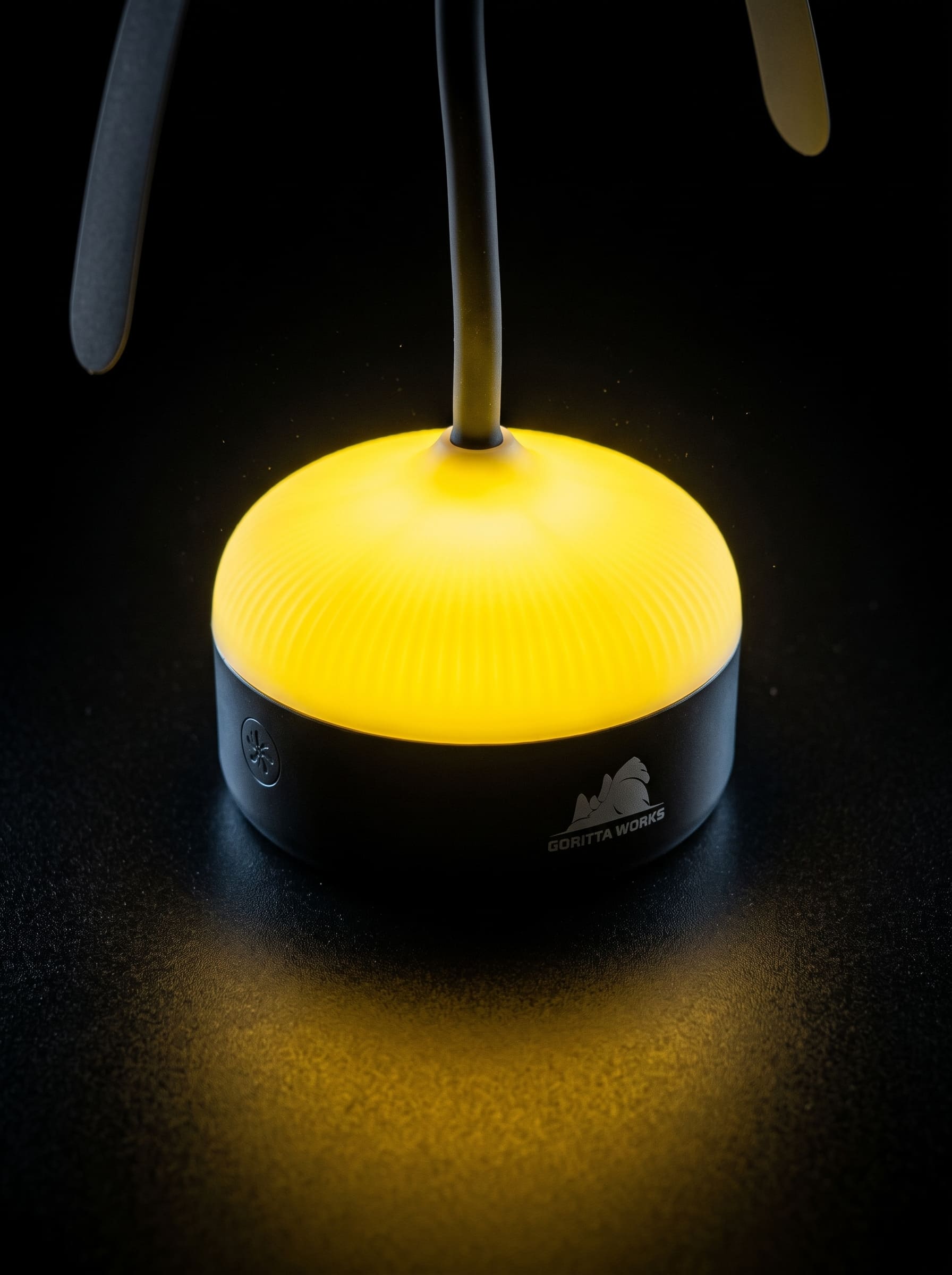 Goritta Works Bugs Fly Repellent Fan with Light
