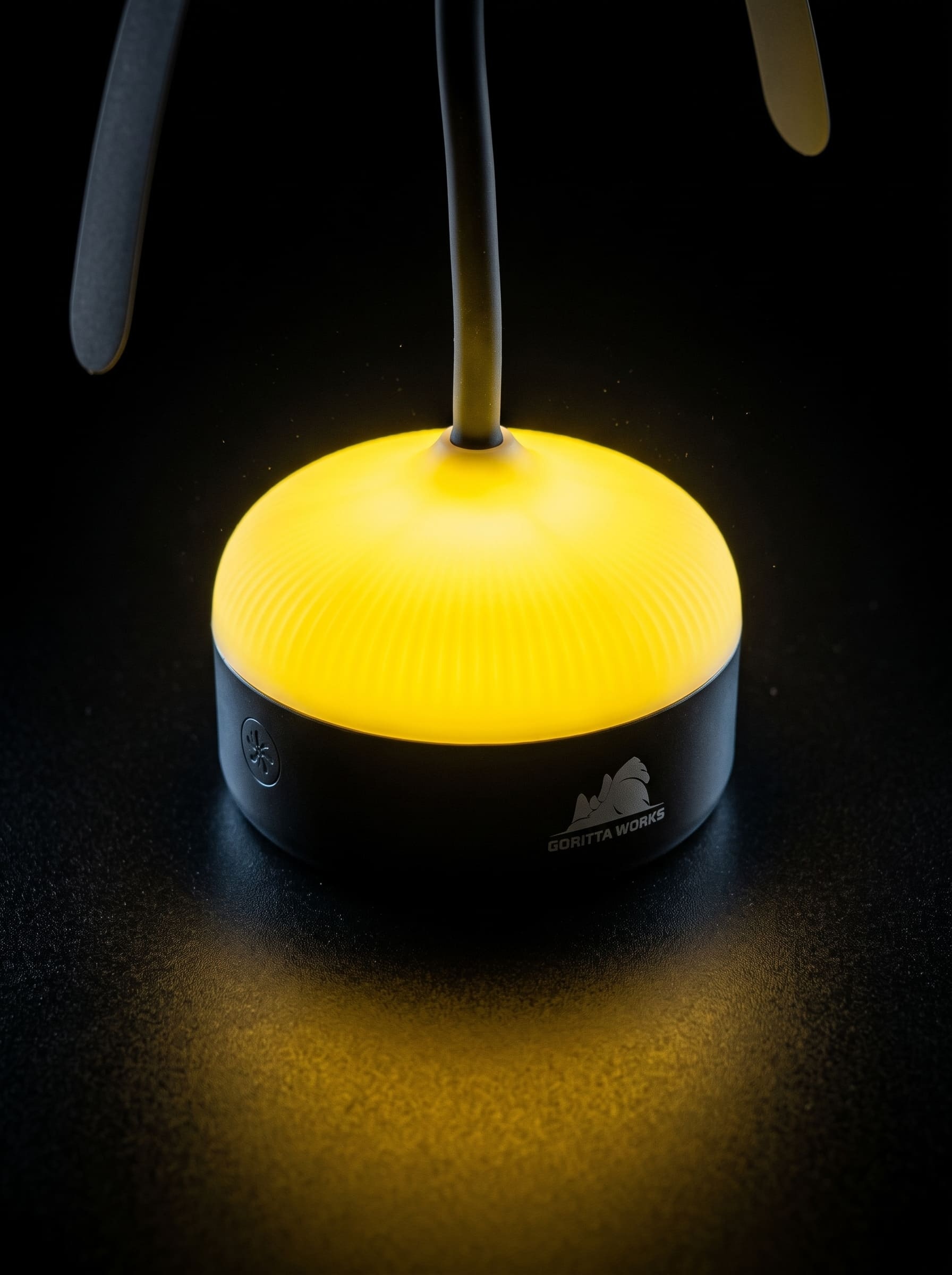 Goritta Works Bugs Fly Repellent Fan with Light