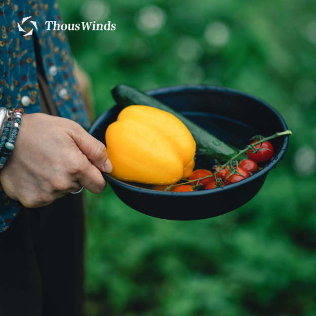 Thous Winds 1.3L Stainless Steel Sierra Bowl - Vintage Silver-Goritta Works Sdn. Bhd. 202501017603 (1619017-X)