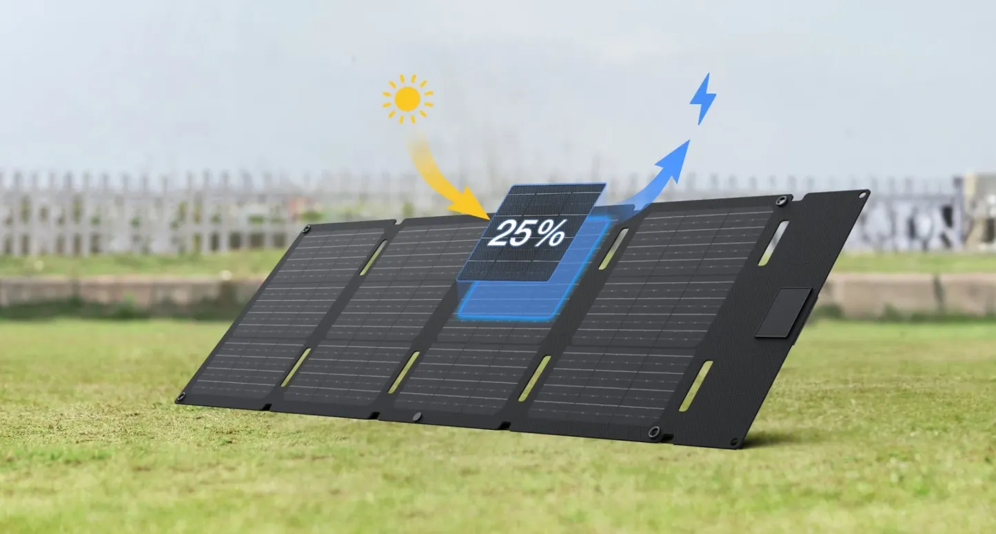 EcoFlow 60W Portable Solar Panel (Type-C)