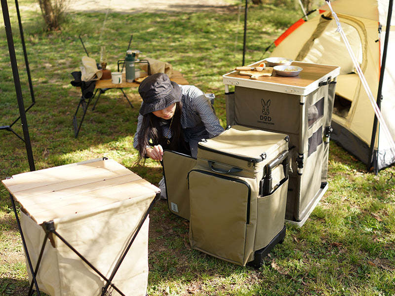 DoD Stealth X - Tan-Goritta Works Sdn. Bhd. 202501017603 (1619017-X)