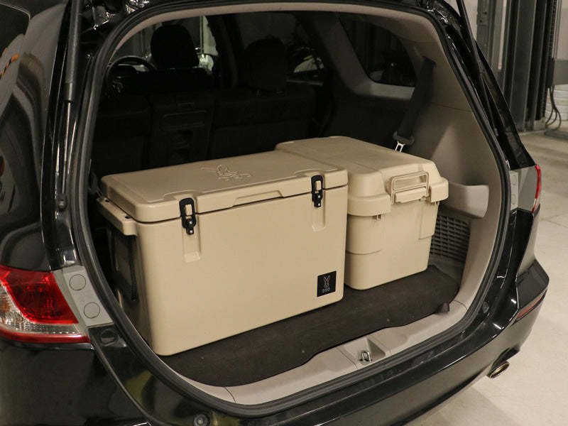 DoD Popular Guy (M) - Beige-Goritta Works Sdn. Bhd. 202501017603 (1619017-X)