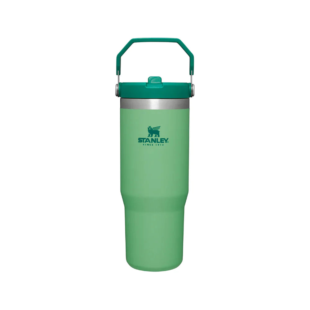 Stanley Adventure Classic Iceflow Flip Straw 30oz Tumbler - Jade-Goritta Works Sdn. Bhd. 202501017603 (1619017-X)