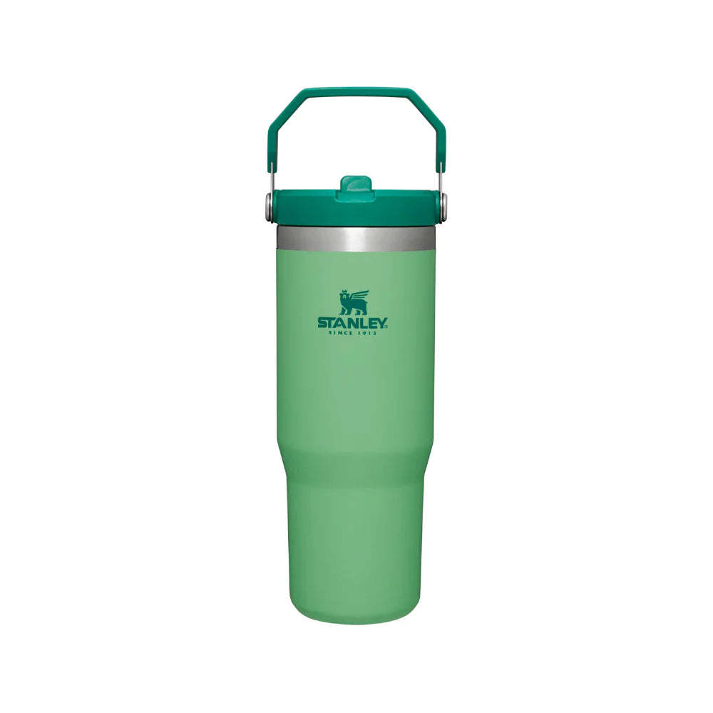 Stanley Adventure Classic Iceflow Flip Straw 30oz Tumbler - Jade-Goritta Works Sdn. Bhd. 202501017603 (1619017-X)