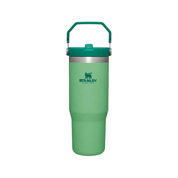 Stanley Adventure Classic Iceflow Flip Straw 30oz Tumbler - Jade-Goritta Works Sdn. Bhd. 202501017603 (1619017-X)