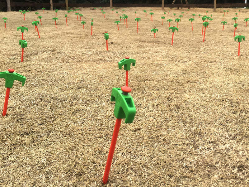 DoD Carrot Peg-Goritta Works Sdn. Bhd. 202501017603 (1619017-X)