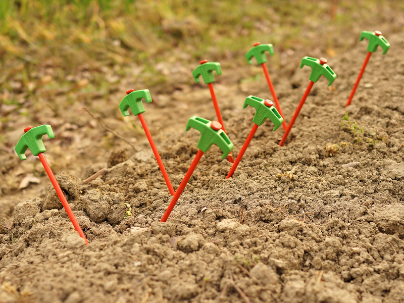 DoD Carrot Peg-Goritta Works Sdn. Bhd. 202501017603 (1619017-X)