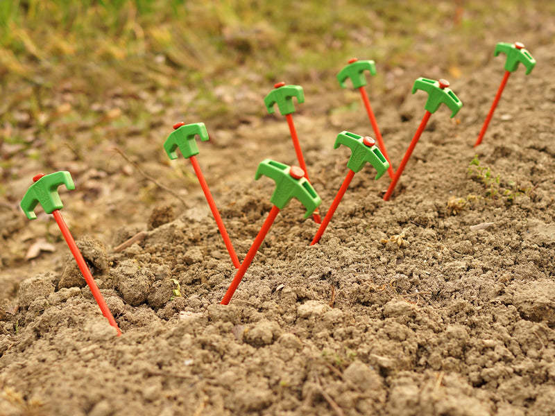 DoD Carrot Peg-Goritta Works Sdn. Bhd. 202501017603 (1619017-X)