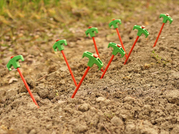 DoD Carrot Peg-Goritta Works Sdn. Bhd. 202501017603 (1619017-X)