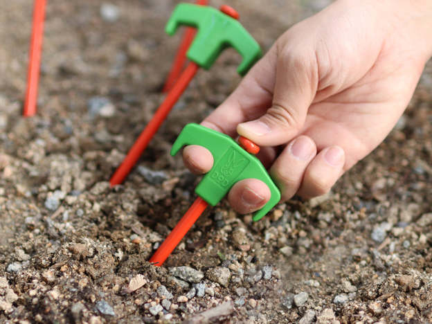 DoD Carrot Peg-Goritta Works Sdn. Bhd. 202501017603 (1619017-X)