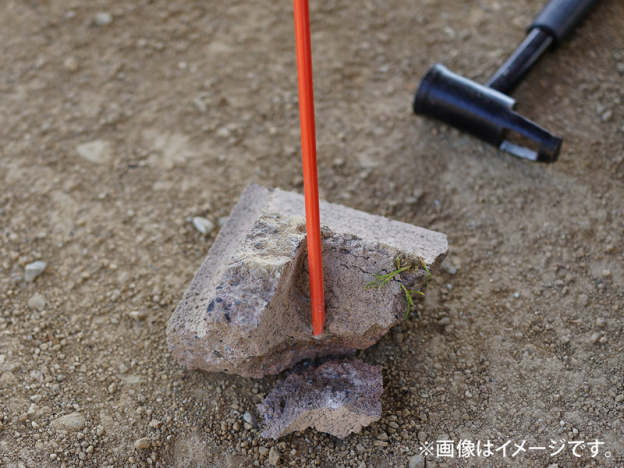 DoD Carrot Peg-Goritta Works Sdn. Bhd. 202501017603 (1619017-X)