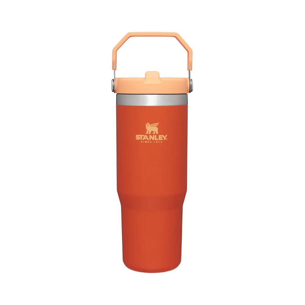 Stanley Adventure Classic Iceflow Flip Straw 30oz Tumbler - Tigerlily-Goritta Works Sdn. Bhd. 202501017603 (1619017-X)