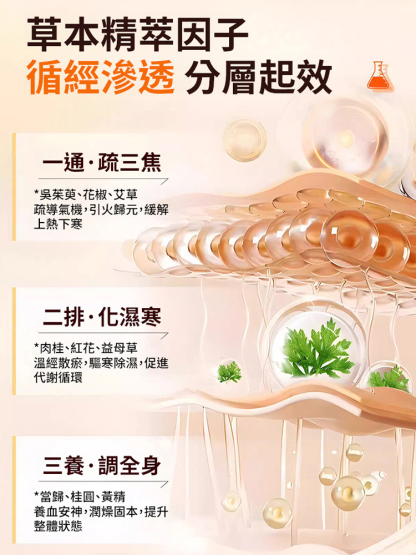 吳茱萸肉桂足底穴位貼