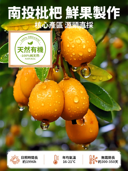 【喉嚨救星】陳皮竹鹽枇杷乾