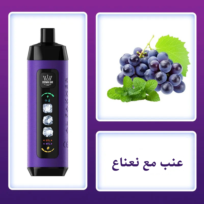  (بنكهة العنب والنعناع) ALFAKHER AD01 15K ICE ADJUST