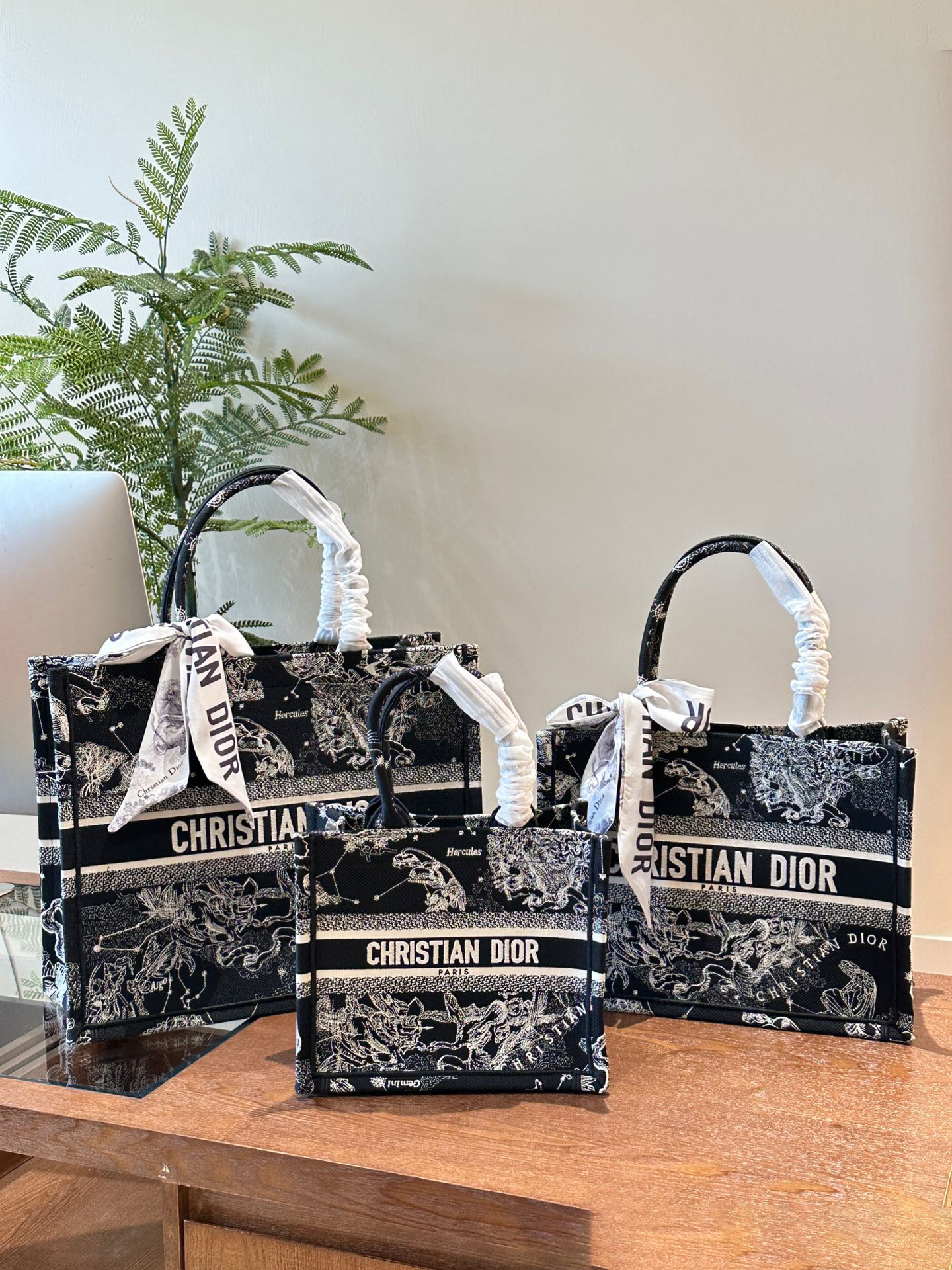 ディオール Dior Book Tote バッグ スモール、ミディアム、ラージの3つのサイズ