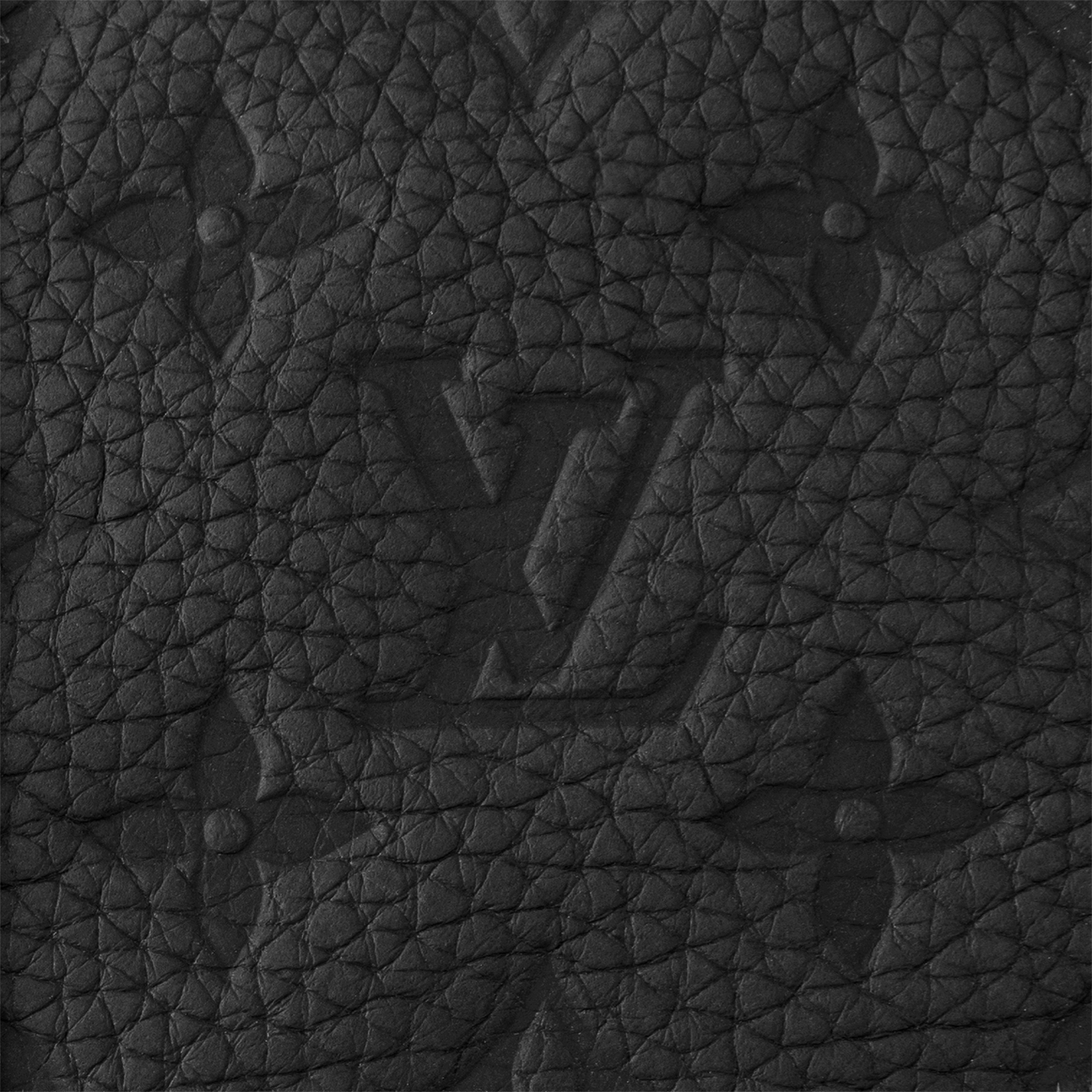 ルイ・ヴィトン「Louis Vuitton」キーポル･バンドリエール 35