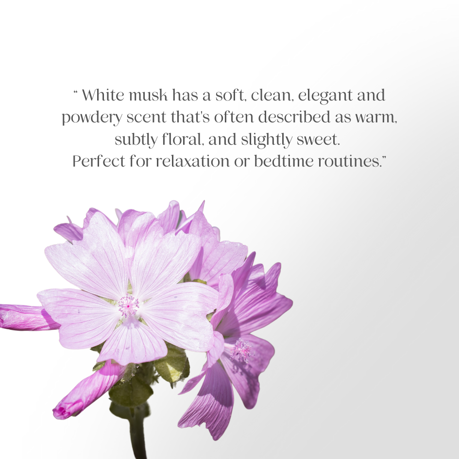 JOSERISTINE White Musk Eau De Toilette Perfume 60ml