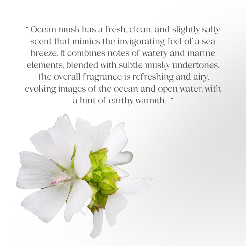 [Combo Deal] JOSERISTINE Ocean Musk Shower Gel