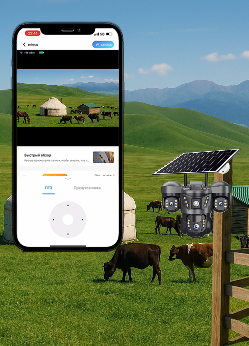 Ачинскідегі порно