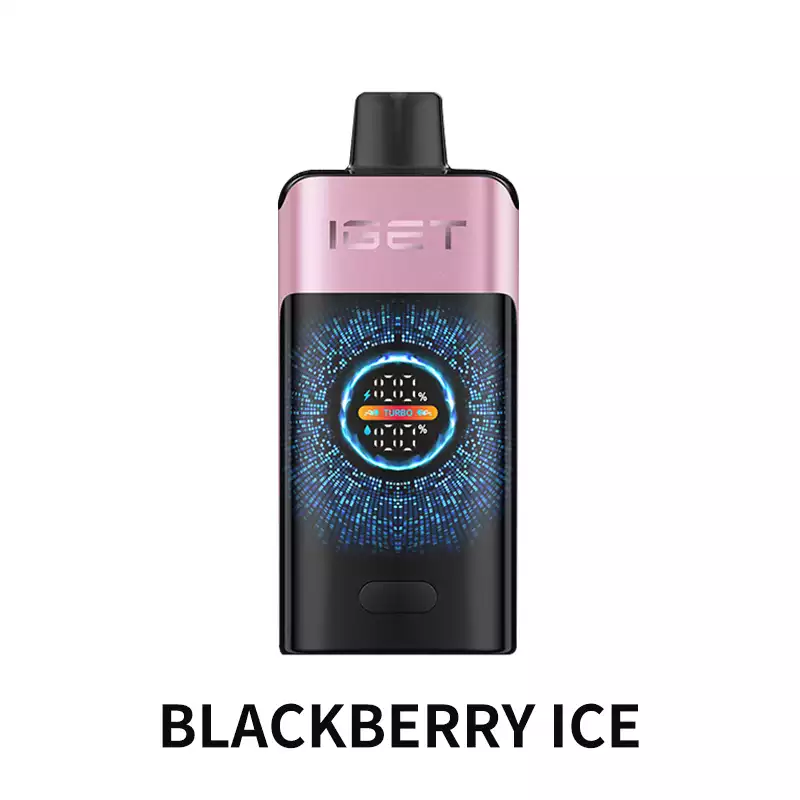 IGET ONE 12000 Puffs – Blueberry Ice