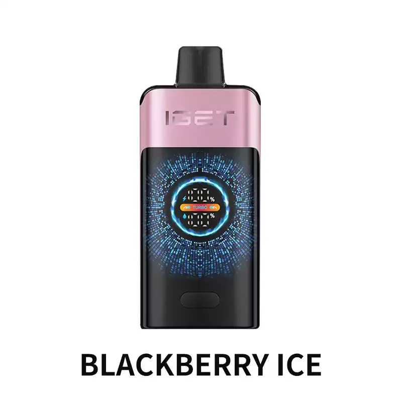 IGET ONE 12000 Puffs – Blueberry Ice
