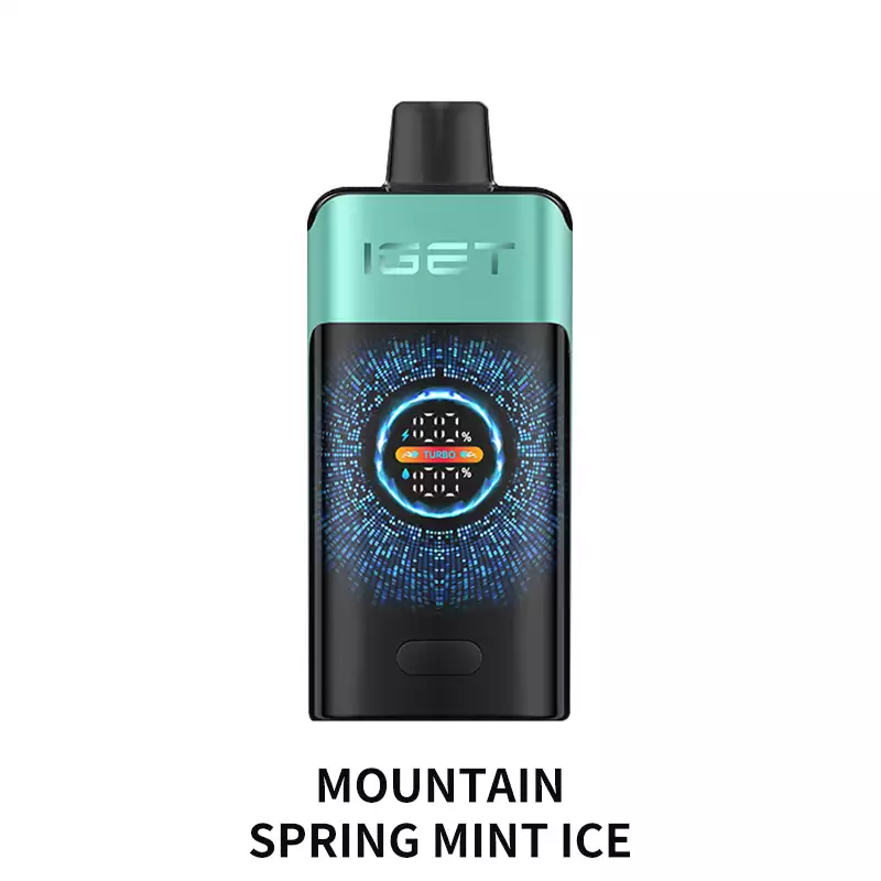 IGET ONE 12000 Puffs – Mountain Spring Mint Ice