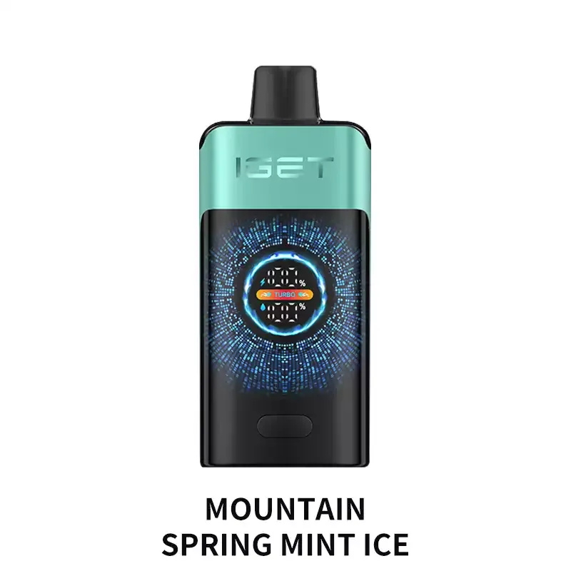 IGET ONE 12000 Puffs – Mountain Spring Mint Ice