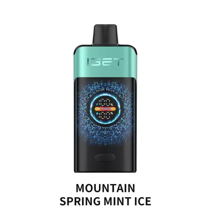 IGET ONE 12000 Puffs – Mountain Spring Mint Ice