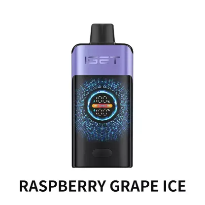 IGET ONE 12000 Puffs – Raspberry Grape Ice