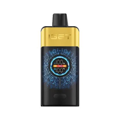 IGET ONE 12000 Puffs – Kiwi Pineapple