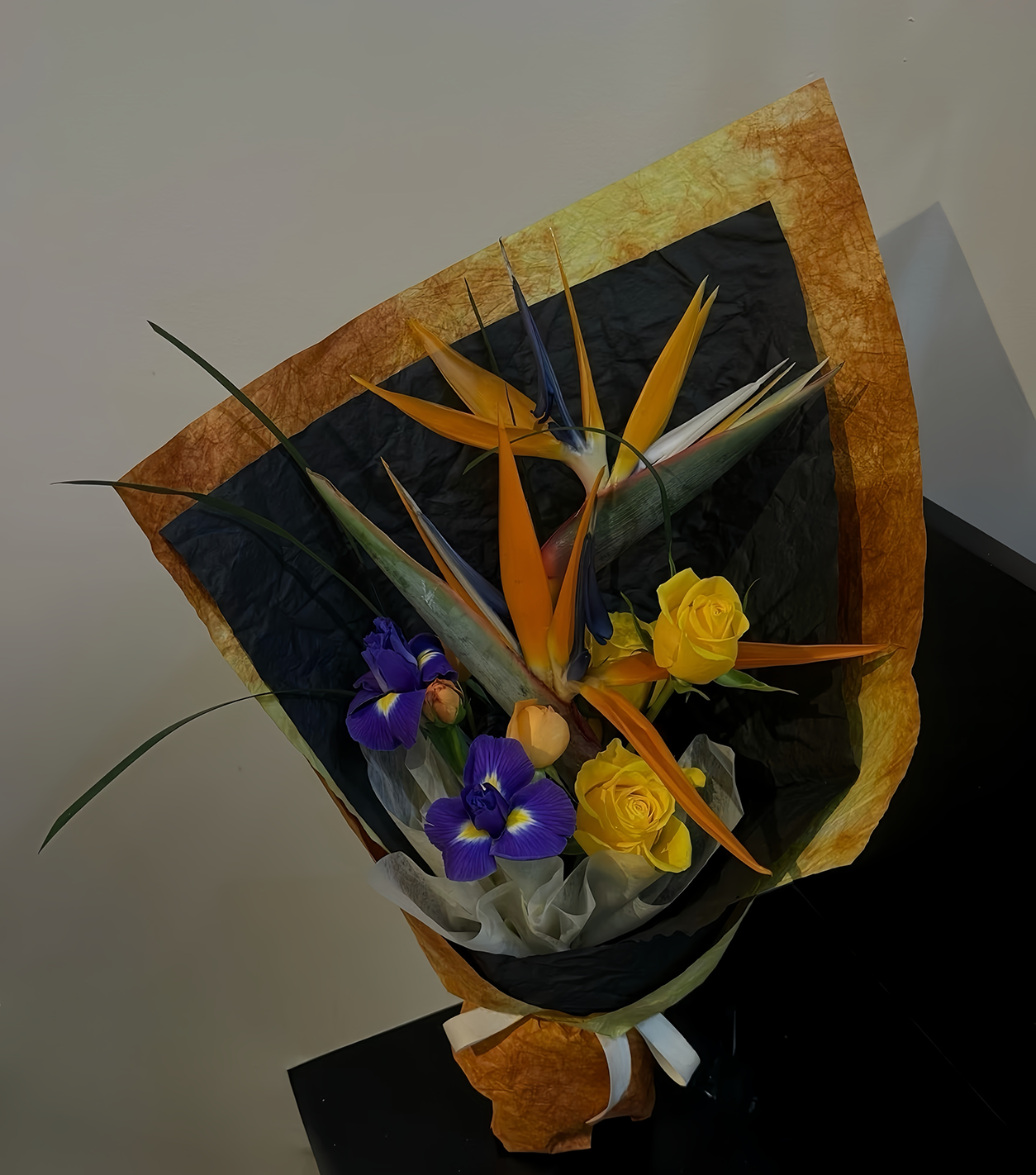 Bird of Paradise Glow