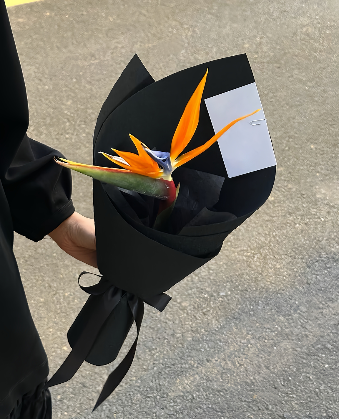 Black Wrapped Flame Feather