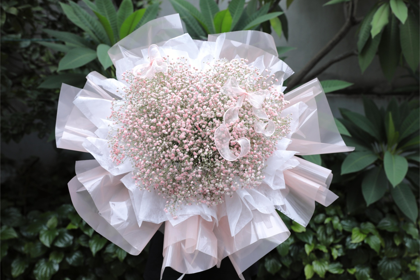 Pink Dream Star Fluff