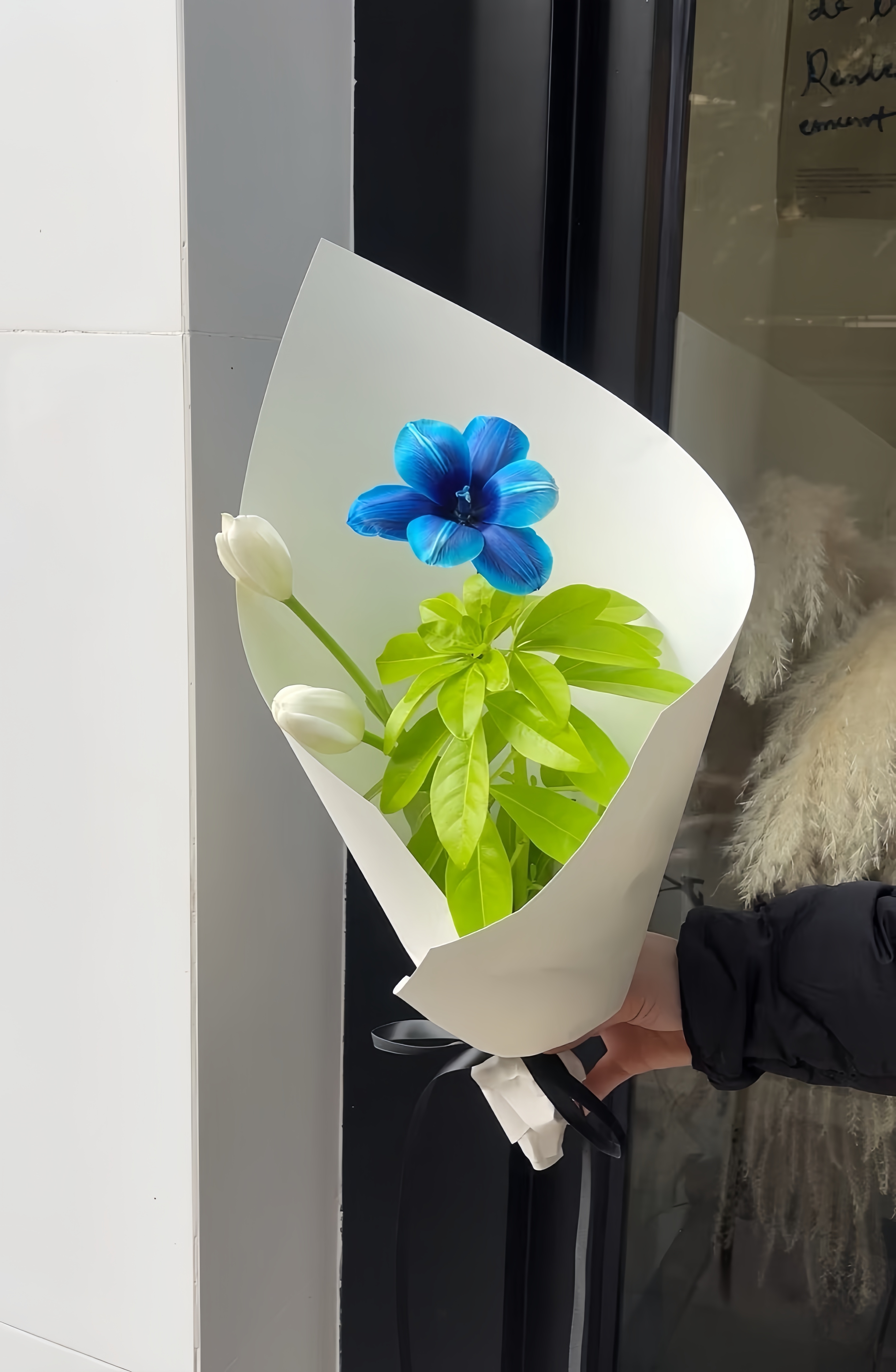 Blue Realm  White Tulips