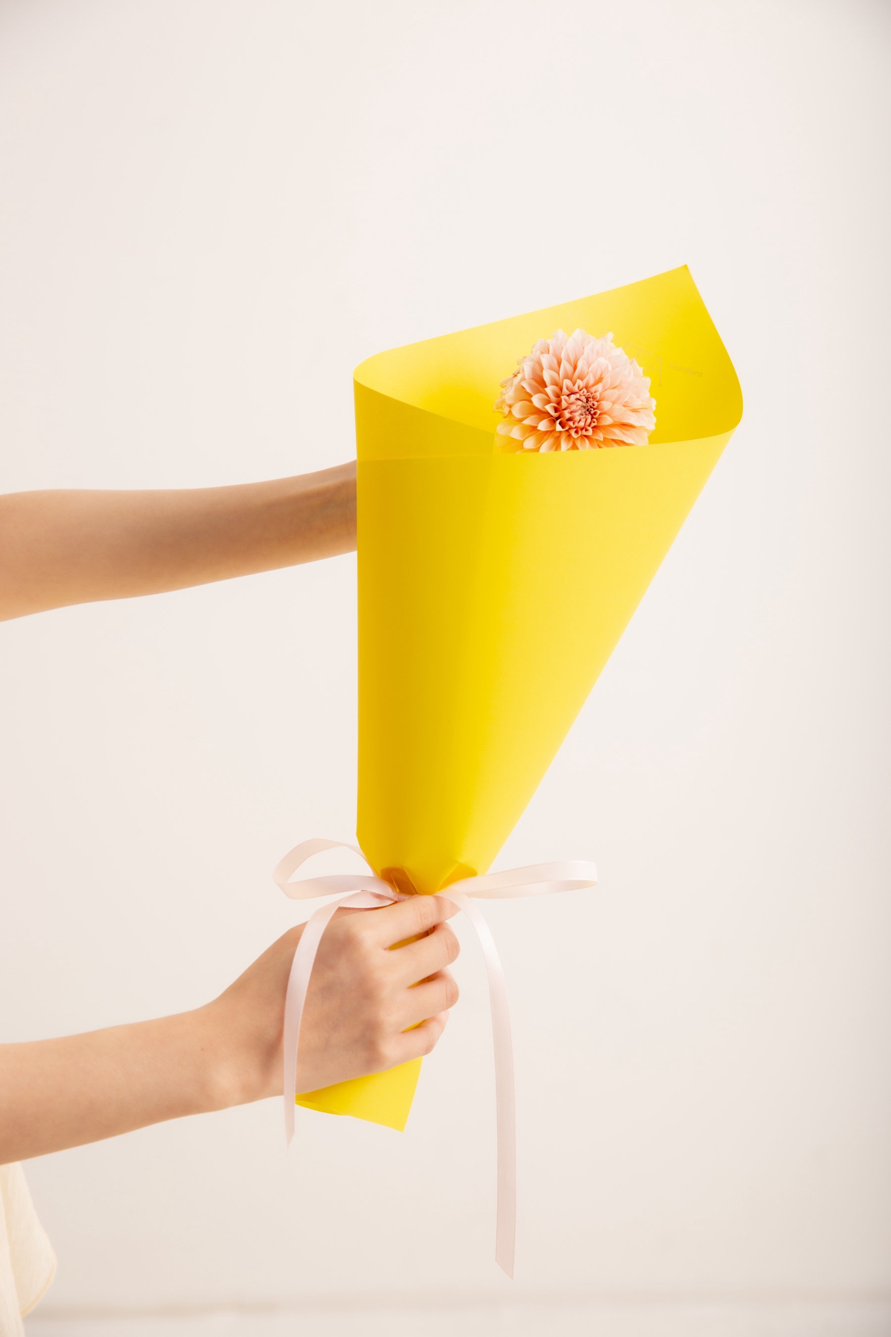 Warm Yellow Pink Fluff