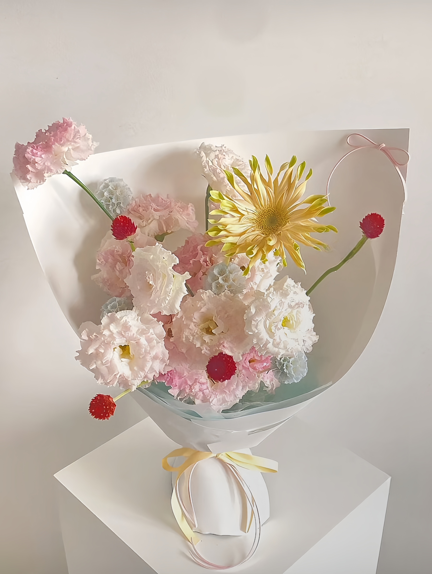 Spring Bloom Cluster