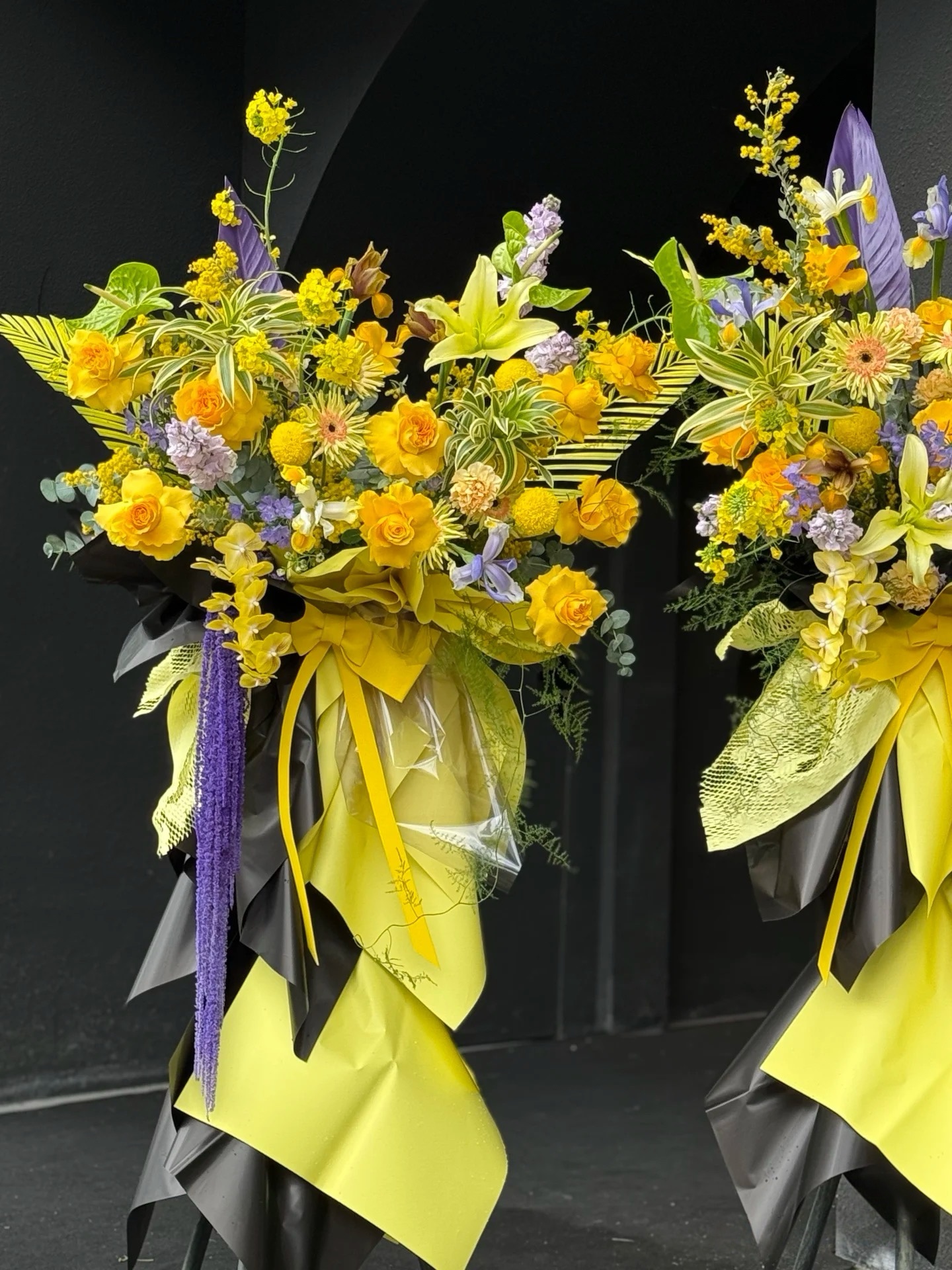 Golden  Purple Radiance