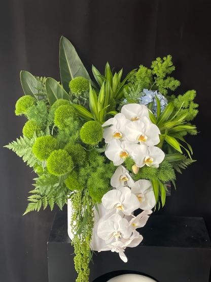 Green Shadow Orchid Fragrance Box