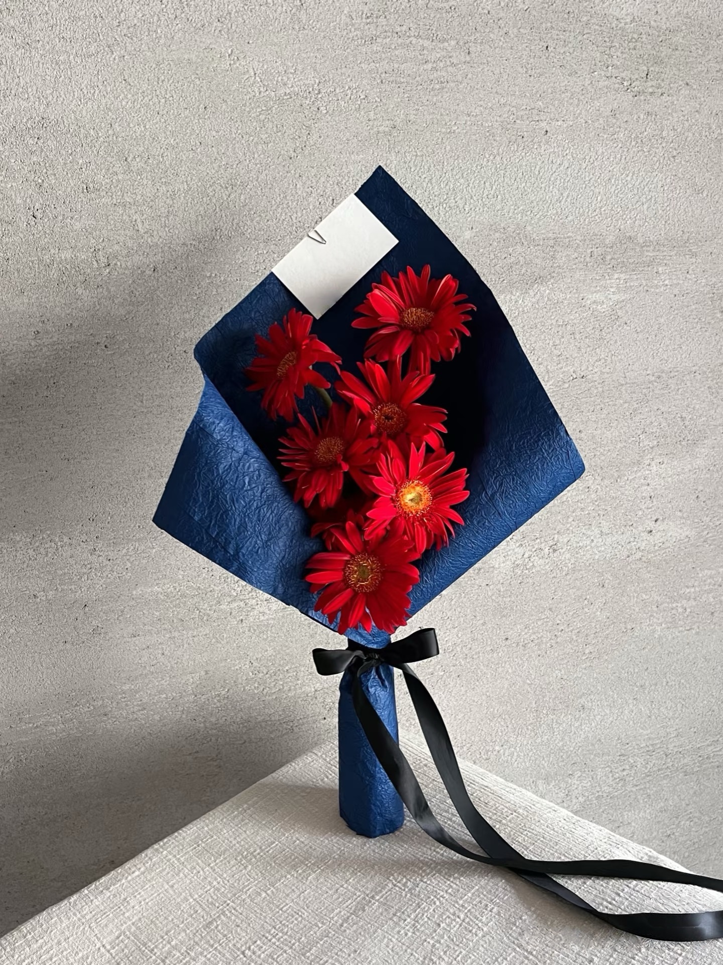 Scarlet  Blue Prologue