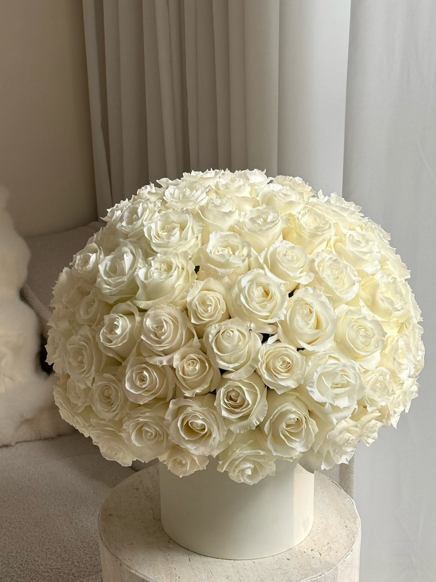 Vow of White Roses