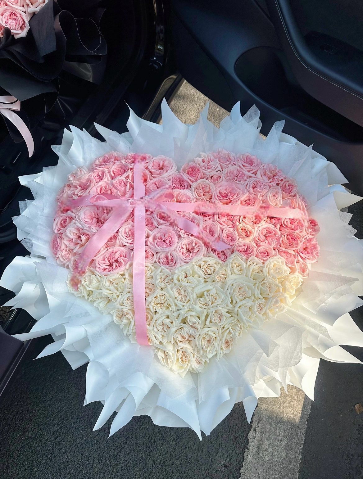 Half-Sugar Heartbeat