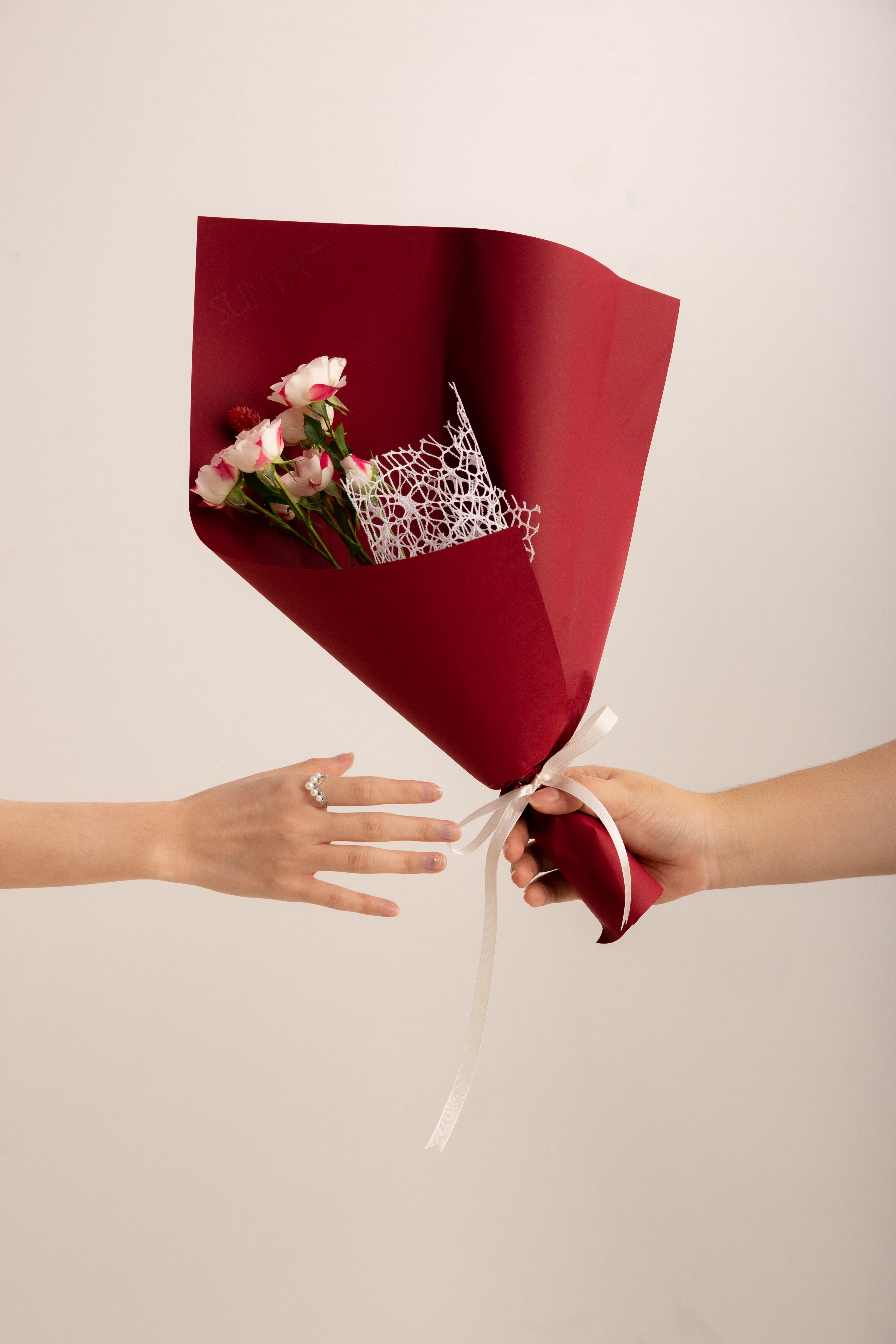 Pink Rose Scarlet Edge