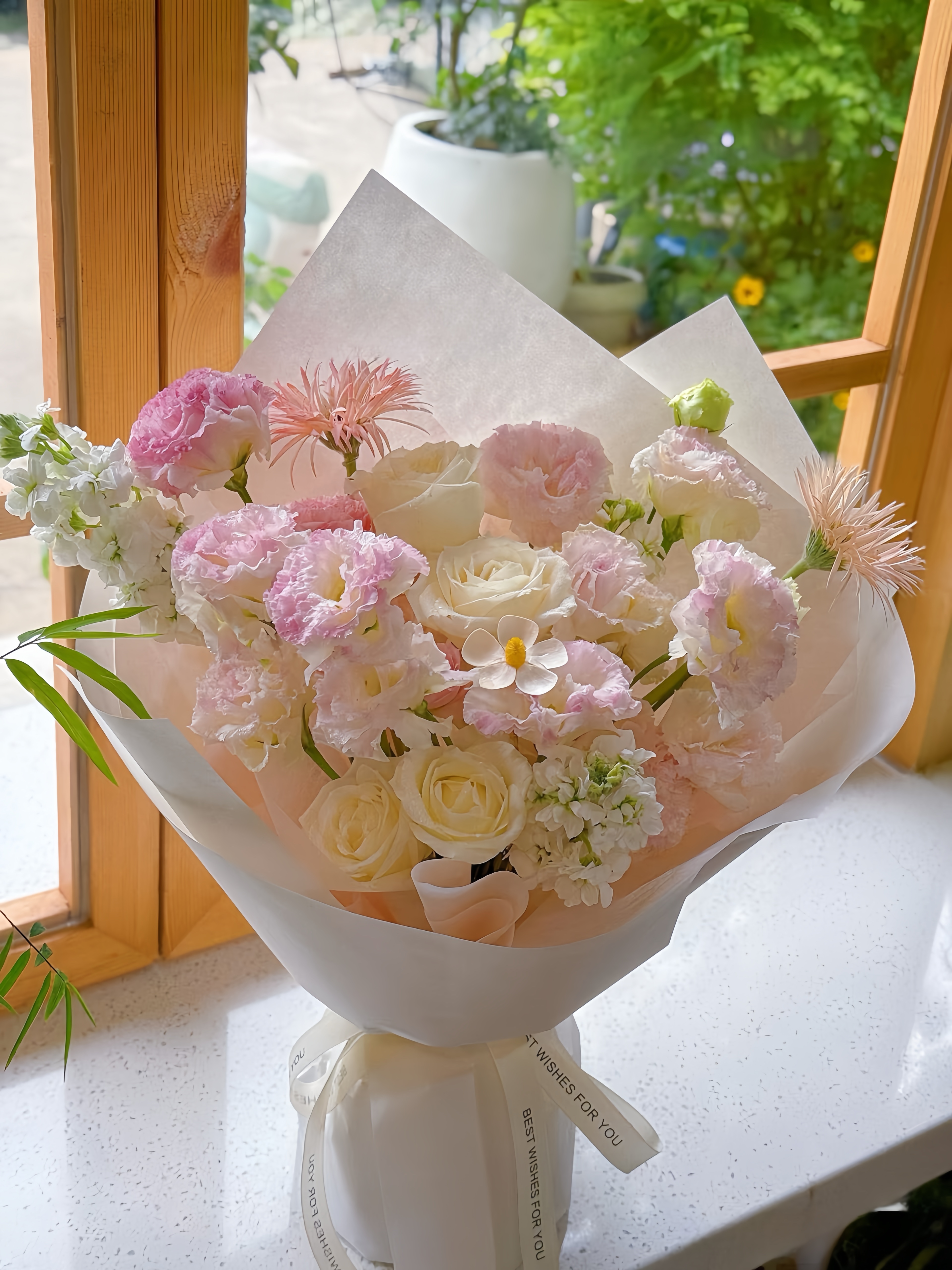 Pink Soft Dream Bloom