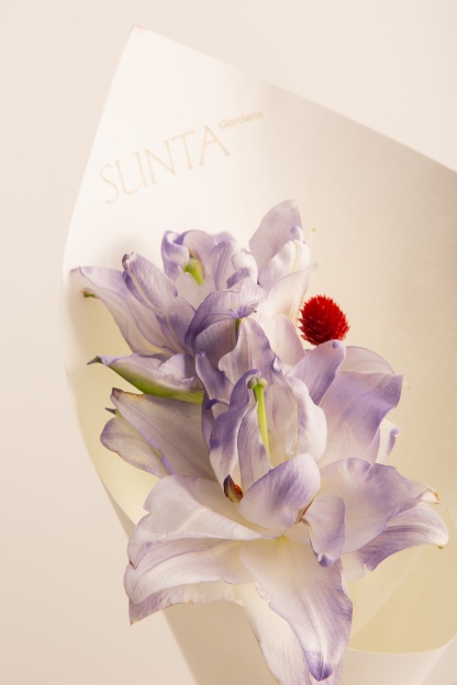 Lilac Charm & Scarlet