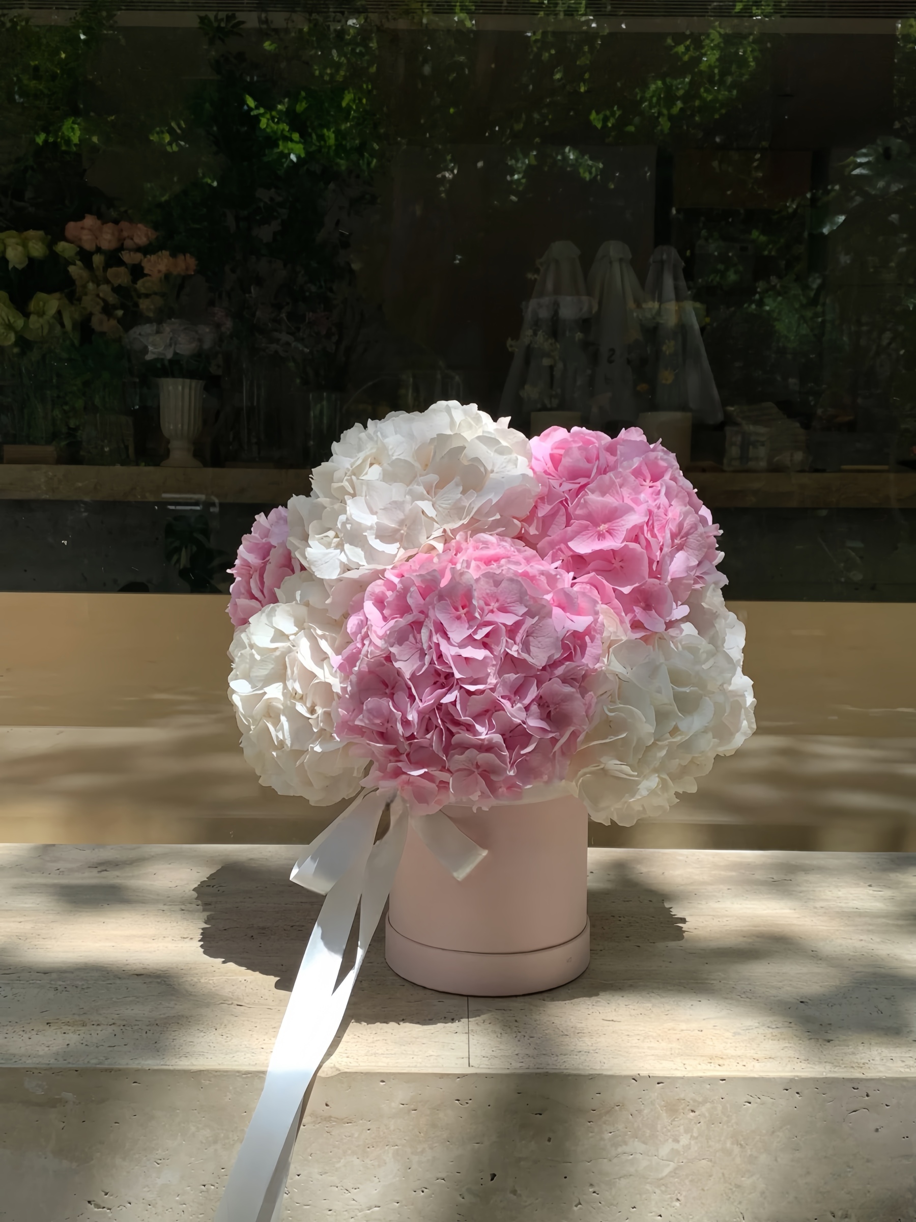 Pink White Hydrangea Whisper