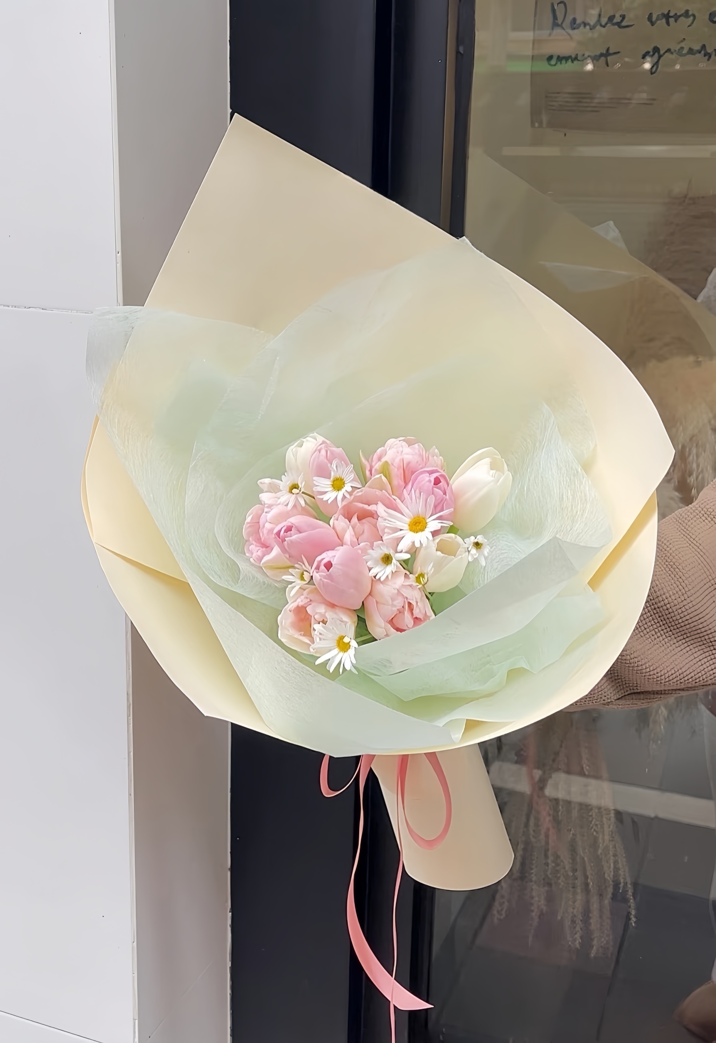 Pink Tulip Daisy Whisper