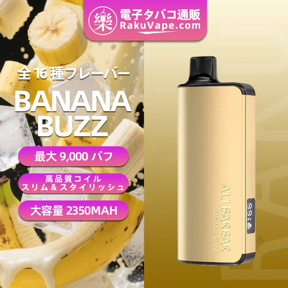 ALIBARBAR(アリバーバー)INGOT 9000 使い捨て電子タバコ 9000口(Banana Buzz・5%ニコチン)