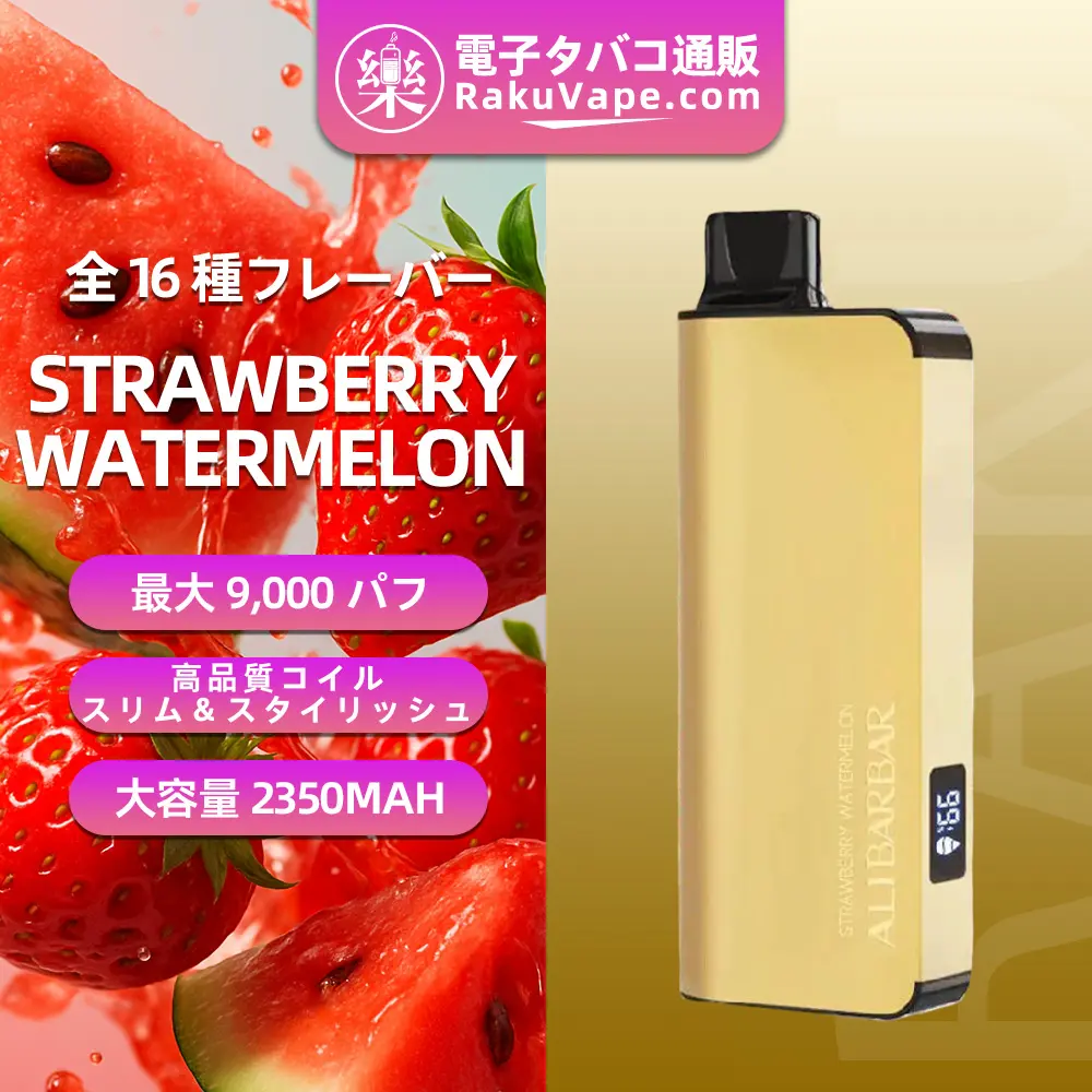 ALIBARBAR(アリバーバー)INGOT 9000 使い捨て電子タバコ 9000口(Strawberry watermelon・5%ニコチン)