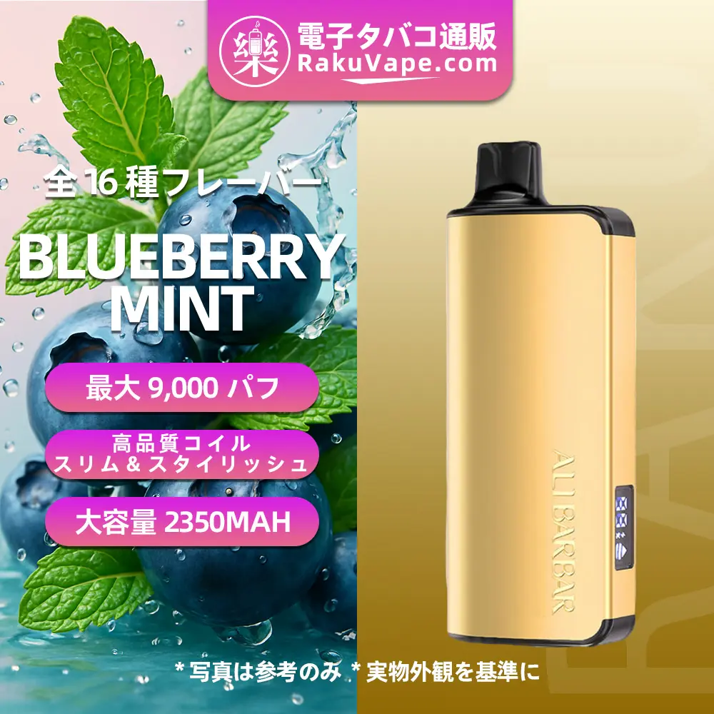 ALIBARBAR(アリバーバー)INGOT 9000 使い捨て電子タバコ 9000口(blueberry & mint・5%ニコチン)